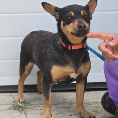 PHOTO-2026-04-26-18-46-05 5