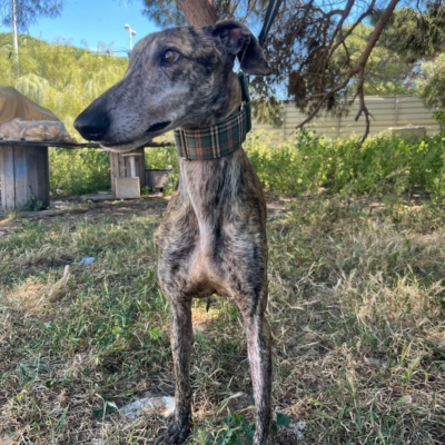 PHOTO-2026-04-26-20-03-34 2