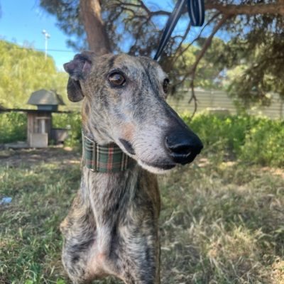 PHOTO-2026-04-26-20-03-34 4