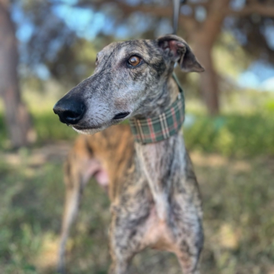 PHOTO-2026-04-26-20-03-34