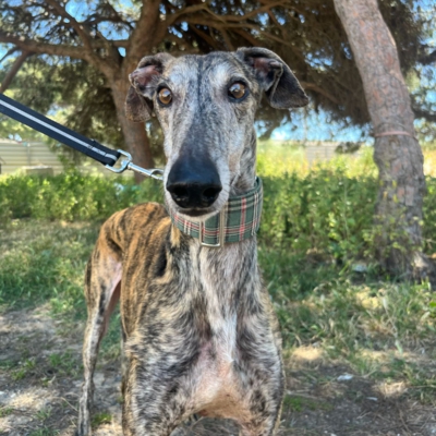 PHOTO-2026-04-26-20-03-35 2