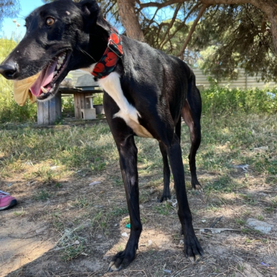 PHOTO-2026-04-26-20-03-35 2