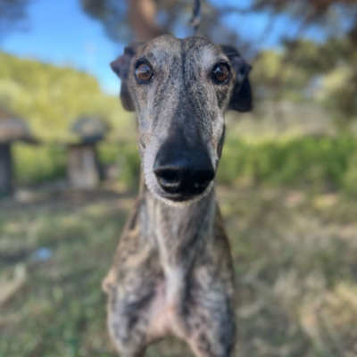 PHOTO-2026-04-26-20-03-35 3