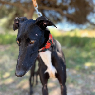 PHOTO-2026-04-26-20-03-35 3 kopie