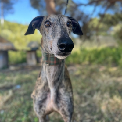 PHOTO-2026-04-26-20-03-35 4