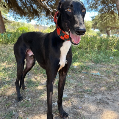 PHOTO-2026-04-26-20-03-35 4