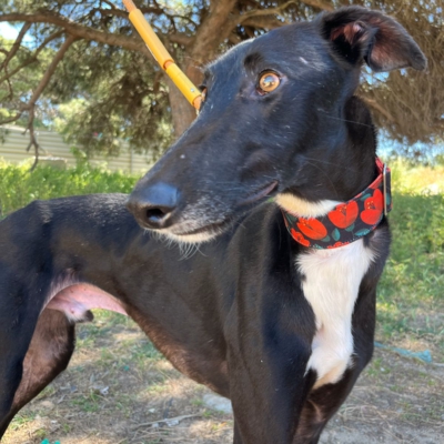 PHOTO-2026-04-26-20-03-35