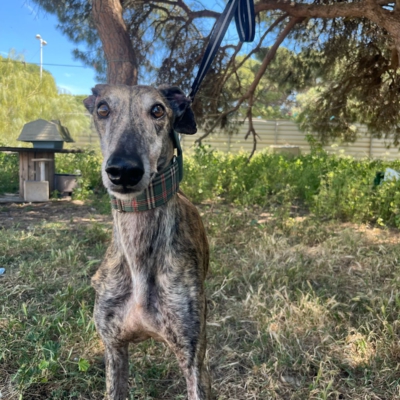 PHOTO-2026-04-26-20-03-35 5