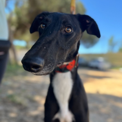 PHOTO-2026-04-26-20-03-35 5 kopie