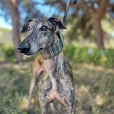 PHOTO-2026-04-26-20-03-35 6