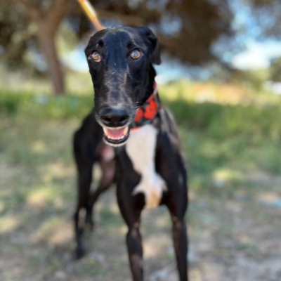 PHOTO-2026-04-26-20-03-35 6