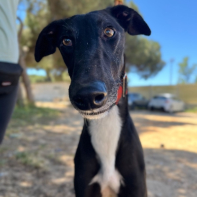 PHOTO-2026-04-26-20-03-35 7