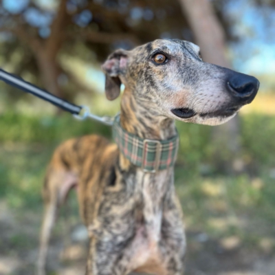 PHOTO-2026-04-26-20-03-35 8