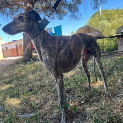 PHOTO-2026-04-26-20-03-35 9