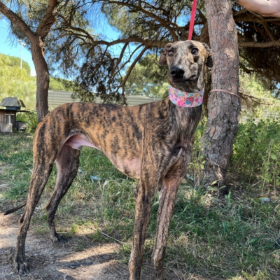 PHOTO-2026-04-26-20-07-01 2