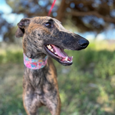 PHOTO-2026-04-26-20-07-01