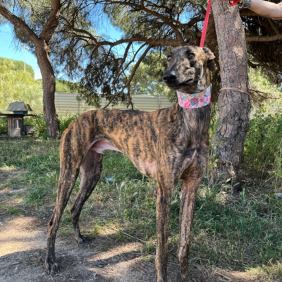 PHOTO-2026-04-26-20-07-02 10