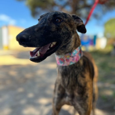 PHOTO-2026-04-26-20-07-02 12