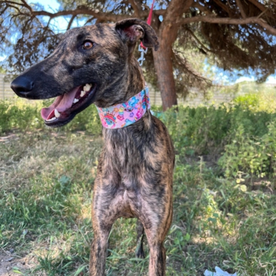 PHOTO-2026-04-26-20-07-02 2