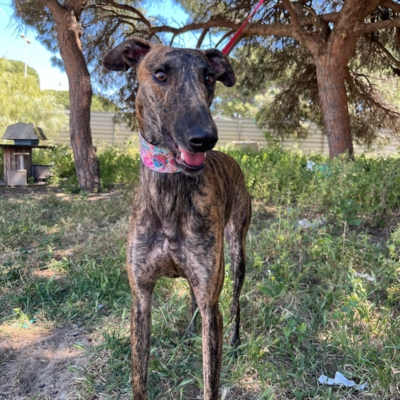 PHOTO-2026-04-26-20-07-02 3