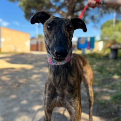 PHOTO-2026-04-26-20-07-02 4