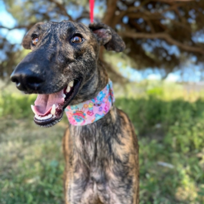 PHOTO-2026-04-26-20-07-02