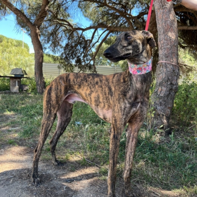 PHOTO-2026-04-26-20-07-02 6