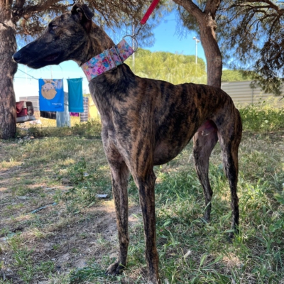 PHOTO-2026-04-26-20-07-02 7