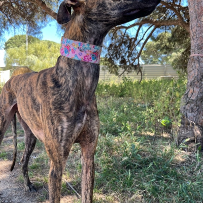 PHOTO-2026-04-26-20-07-02 8