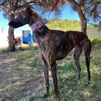 PHOTO-2026-04-26-20-07-02 9