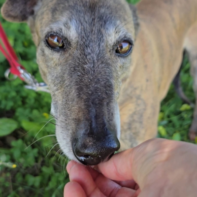 PHOTO-2026-04-26-20-12-07 2