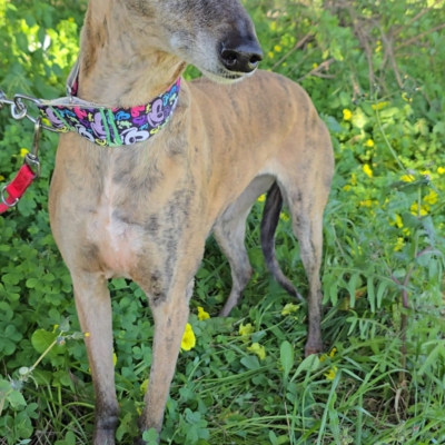 PHOTO-2026-04-26-20-12-07 3