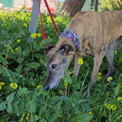 PHOTO-2026-04-26-20-12-07 4