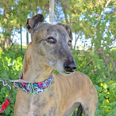 PHOTO-2026-04-26-20-12-07