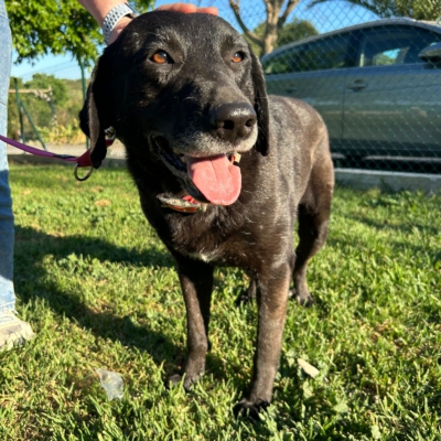 PHOTO-2026-04-26-21-10-37 2