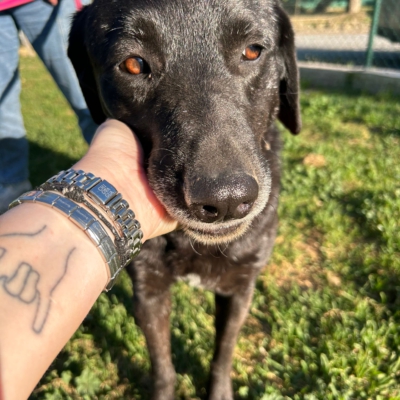 PHOTO-2026-04-26-21-10-37