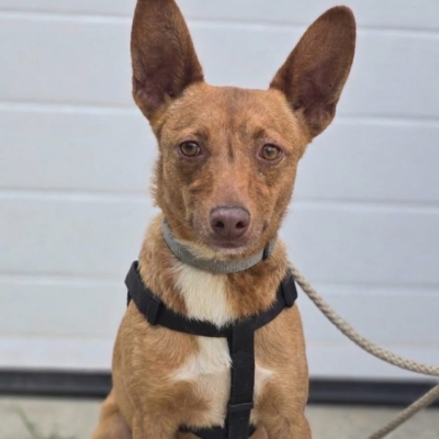 PHOTO-2026-04-28-20-24-28 2