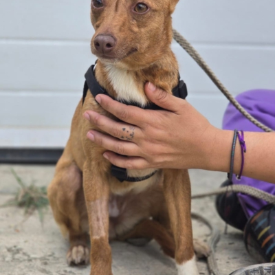 PHOTO-2026-04-28-20-24-28 3