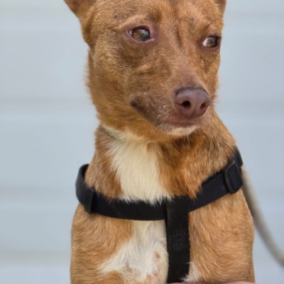 PHOTO-2026-04-28-20-24-28 4