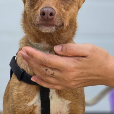 PHOTO-2026-04-28-20-24-28