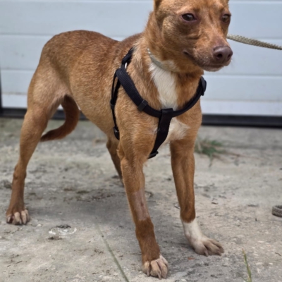 PHOTO-2026-04-28-20-24-28 5