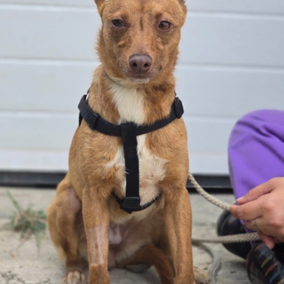 PHOTO-2026-04-28-20-24-28 6