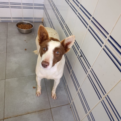 PHOTO-2026-04-28-20-34-04 2