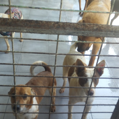 PHOTO-2026-04-28-20-34-04 3