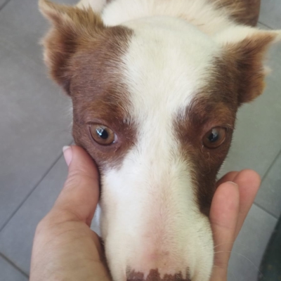 PHOTO-2026-04-28-20-34-04 4