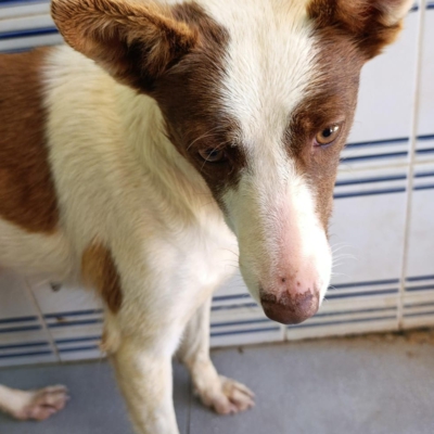 PHOTO-2026-04-28-20-34-04