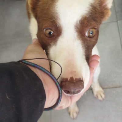 PHOTO-2026-04-28-20-34-04 5