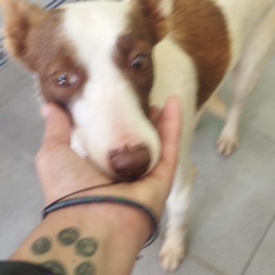 PHOTO-2026-04-28-20-34-04 6