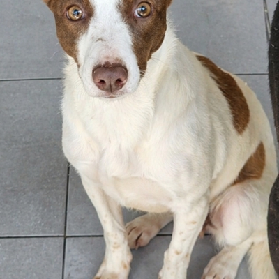 PHOTO-2026-04-28-20-34-05 2