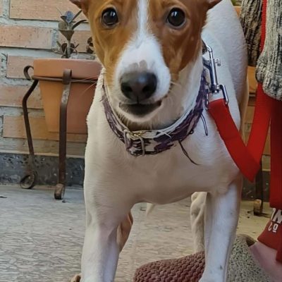 WhatsApp Image 2026-04-03 at 20.20.04 (1)